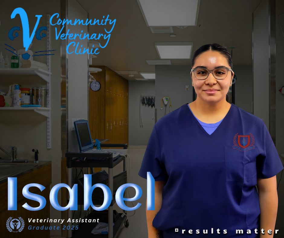 veterinary assistant stellar career college